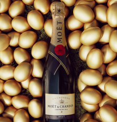 Moet & Chandon Pezsgő