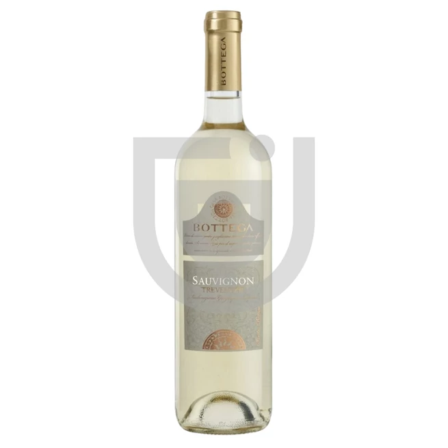 Bottega Celine Pinot Grigio [0,75L|2024]