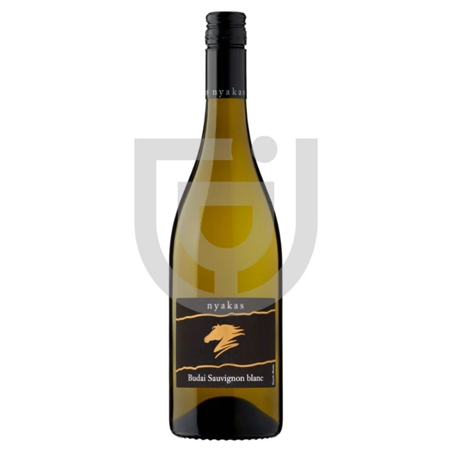 Nyakas Sauvignon Blanc /Száraz/ [0,75L|2023]