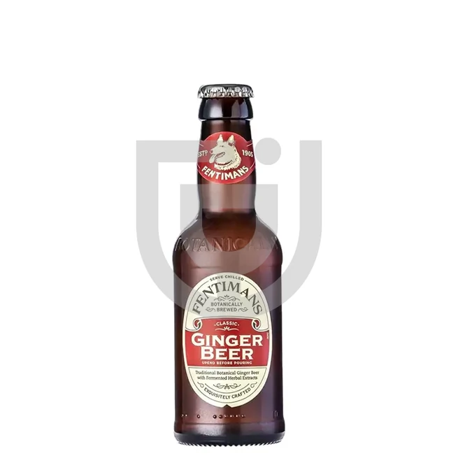 Fentimans Ginger Beer [0,2L]
