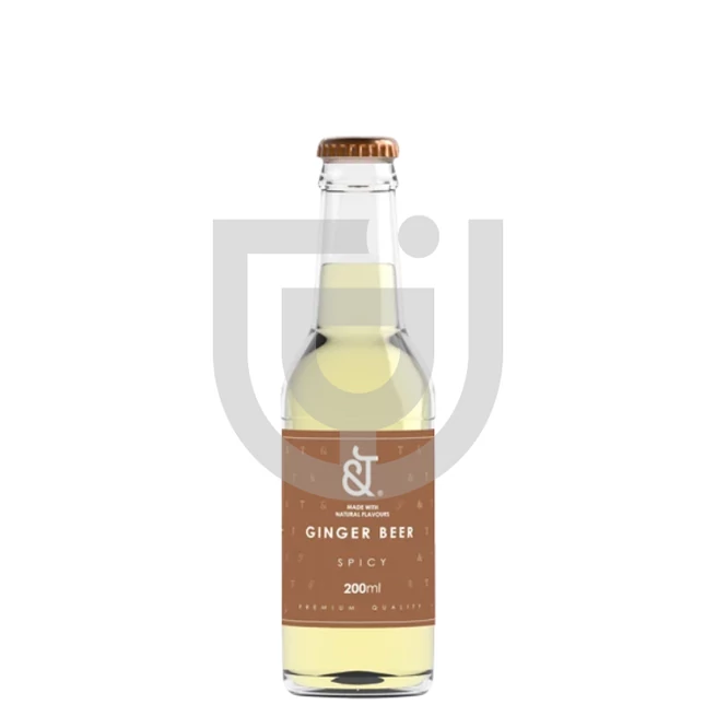 &T Spicy Ginger Beer [0,2L]