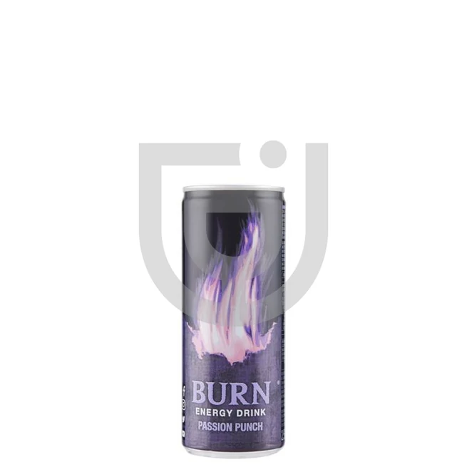 Burn Fruit Punch Energiaital /Dobozos/ [0,25L] [12db/pack]