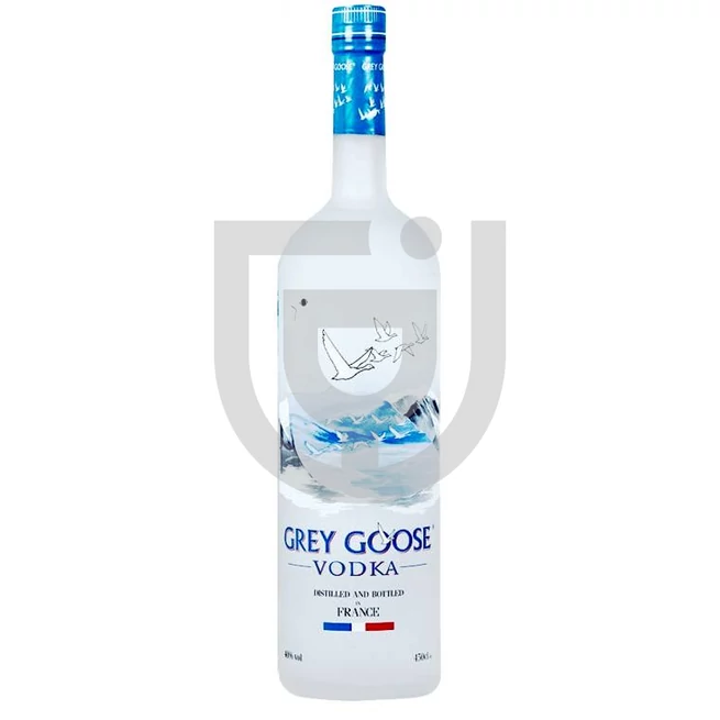 Grey Goose Original Vodka Magnum [6L|40%]